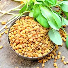 Fenugreek Seeds