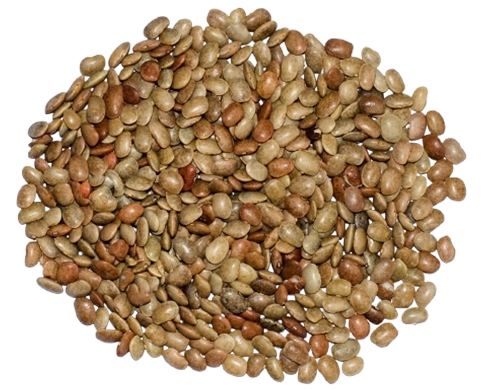 Horse Gram (Kulthi Dal)